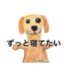 人生テキトーな犬。（個別スタンプ：9）