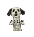 人生テキトーな犬。（個別スタンプ：19）