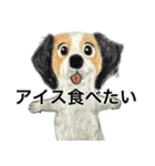 人生テキトーな犬。（個別スタンプ：20）