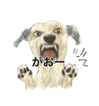 人生テキトーな犬。（個別スタンプ：21）