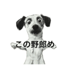 人生テキトーな犬。（個別スタンプ：24）