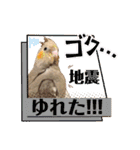 文鳥とオカメインコ2(文字大きめver)（個別スタンプ：22）