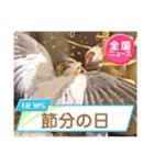 文鳥とオカメインコ2(文字大きめver)（個別スタンプ：31）