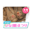 文鳥とオカメインコ2(文字大きめver)（個別スタンプ：32）