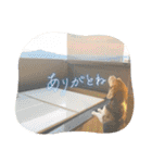 ぼく元汰੯• u（個別スタンプ：6）