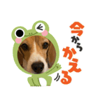 ぼく元汰੯• u（個別スタンプ：9）