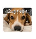 ぼく元汰੯• u（個別スタンプ：10）