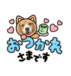 ぼく元汰੯• u（個別スタンプ：11）