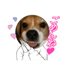 ぼく元汰੯• u（個別スタンプ：12）