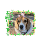 ぼく元汰੯• u（個別スタンプ：13）