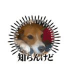 ぼく元汰੯• u（個別スタンプ：18）