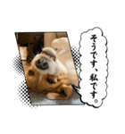 ぼく元汰੯• u（個別スタンプ：19）
