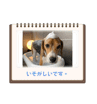ぼく元汰੯• u（個別スタンプ：22）