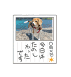 ぼく元汰੯• u（個別スタンプ：23）