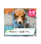 ぼく元汰੯• u（個別スタンプ：24）