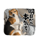 ぼく元汰੯• u（個別スタンプ：25）