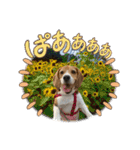 ぼく元汰੯• u（個別スタンプ：27）