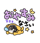 家のネコ8（個別スタンプ：6）