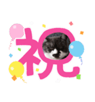 家のネコ8（個別スタンプ：7）