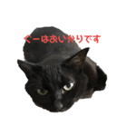 ぐーさまだけじゃない4（個別スタンプ：1）