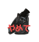 ぐーさまだけじゃない4（個別スタンプ：4）