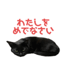 ぐーさまだけじゃない4（個別スタンプ：5）