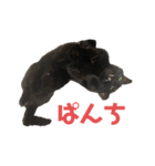 ぐーさまだけじゃない4（個別スタンプ：6）