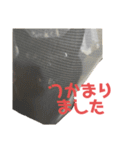 ぐーさまだけじゃない4（個別スタンプ：9）