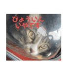 ぐーさまだけじゃない4（個別スタンプ：14）
