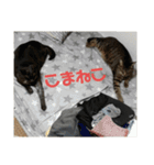 ぐーさまだけじゃない4（個別スタンプ：17）