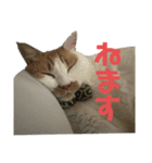 ぐーさまだけじゃない4（個別スタンプ：18）