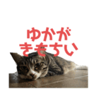 ぐーさまだけじゃない4（個別スタンプ：20）