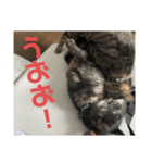 ぐーさまだけじゃない4（個別スタンプ：22）