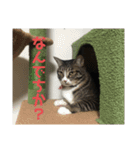 ぐーさまだけじゃない4（個別スタンプ：23）