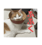 ぐーさまだけじゃない4（個別スタンプ：24）