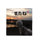 ビションフリーゼのMint♂よろしく♡（個別スタンプ：31）