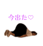 ダイエッターなあなたへ（個別スタンプ：8）