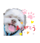 もんじろうさん（個別スタンプ：3）