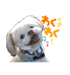 もんじろうさん（個別スタンプ：7）
