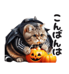 ぽっちゃりにゃんこ秋ハロウィン敬語（個別スタンプ：3）