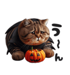 ぽっちゃりにゃんこ秋ハロウィン敬語（個別スタンプ：37）