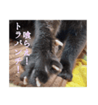 るぅくとトラ（個別スタンプ：15）