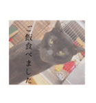 るぅくとトラ（個別スタンプ：16）