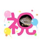 モナコ王子漁業組合（カブ）（個別スタンプ：5）