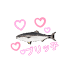 モナコ王子漁業組合（カブ）（個別スタンプ：7）