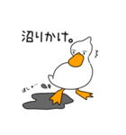 日常生活で使いやすい アヒルのスタンプ（個別スタンプ：1）