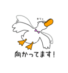 日常生活で使いやすい アヒルのスタンプ（個別スタンプ：10）