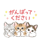 ふんわり可愛い☆猫たちのスタンプ（個別スタンプ：24）