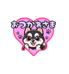 シベリアンハスキー♥（個別スタンプ：1）