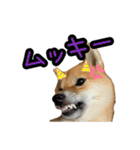 柴すずスタンぷぅ3（個別スタンプ：7）